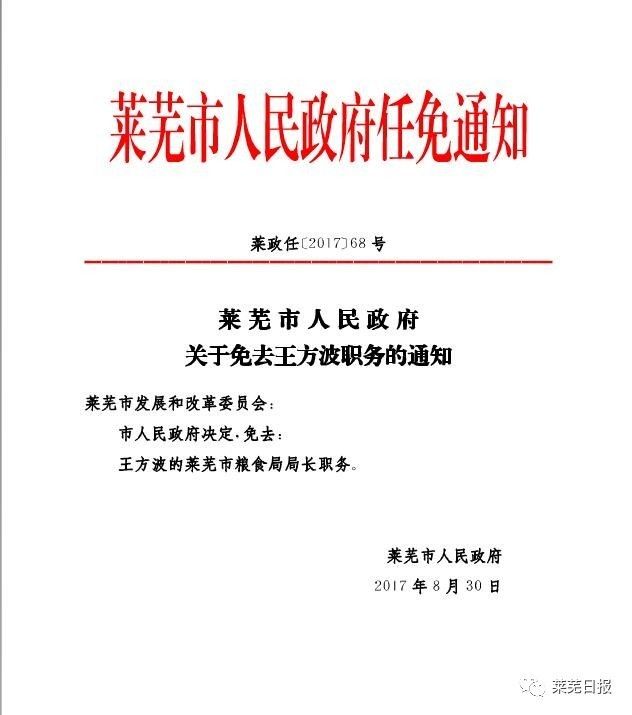 鹰手营子矿区统计局人事任命最新动态