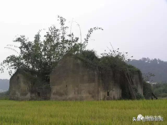 高贤乡最新项目，地区发展的动力引擎