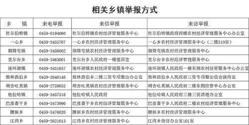 2024年12月14日 第12页