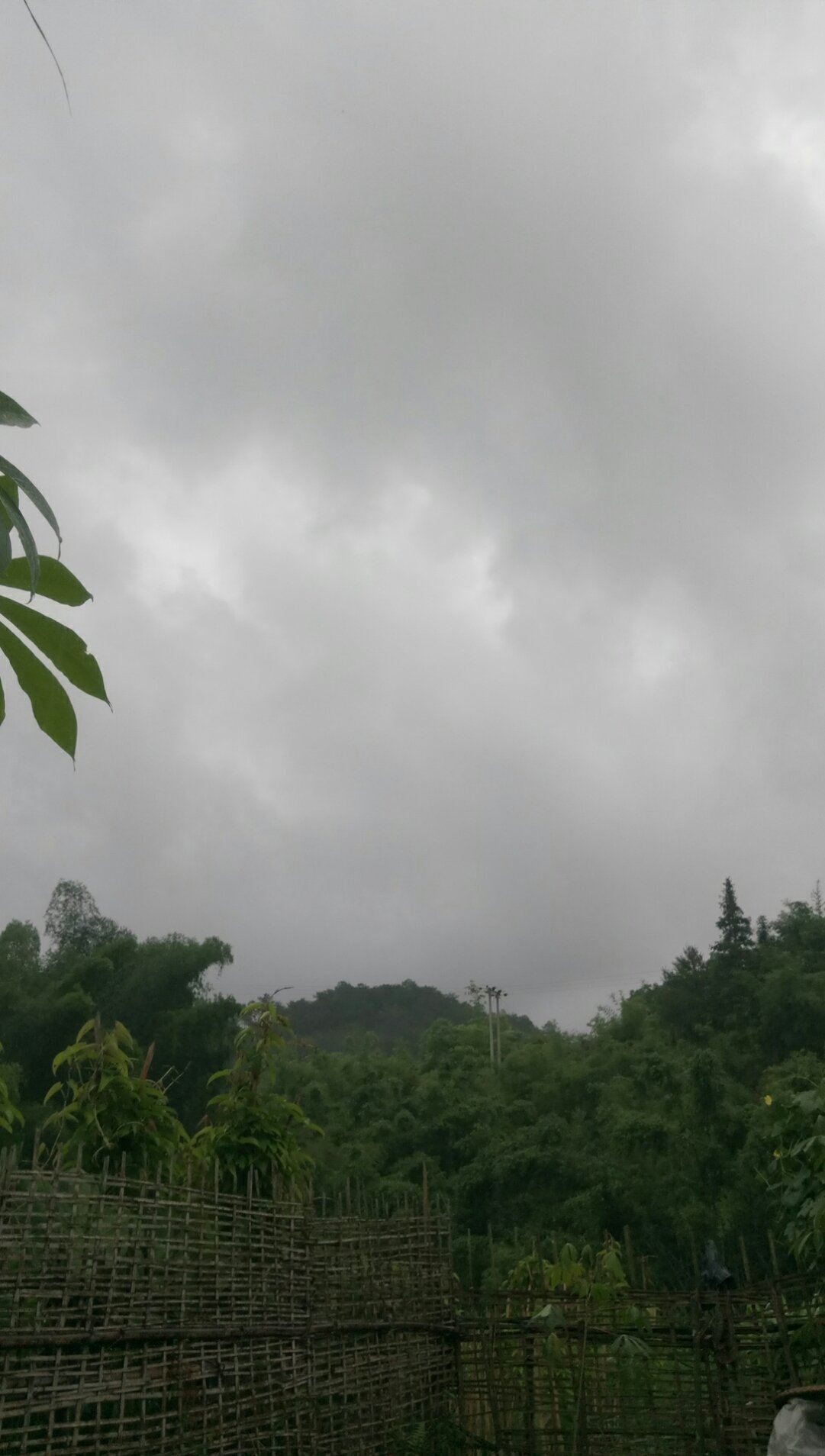 宝祝村最新天气预报