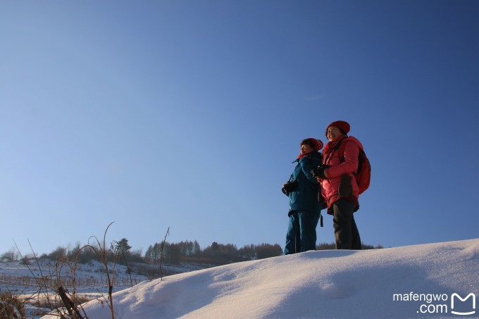 塘巴雪村最新新闻报道